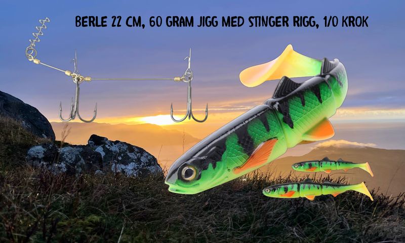 BERLE, 22cm, 60 grams jigg med rigg 2 kroker